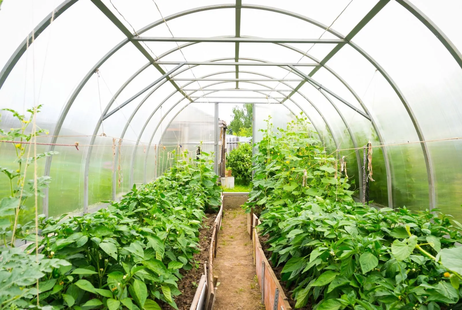 horticulture