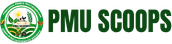 p_header_logo